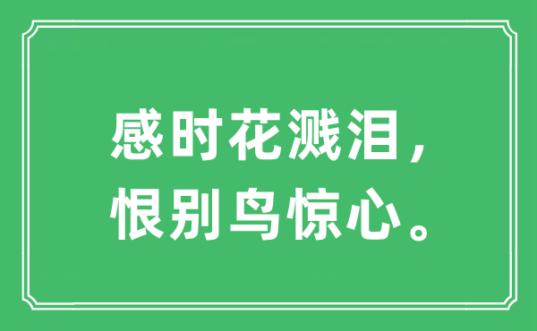 “感时花溅泪，恨别鸟惊心”是甚么意义,来由及原文翻译