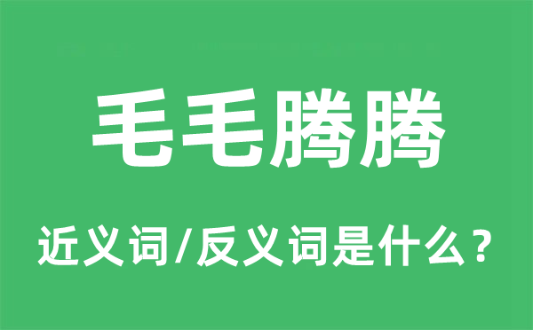 毛毛腾腾的近义词和反义词是甚么,毛毛腾腾是甚么意义