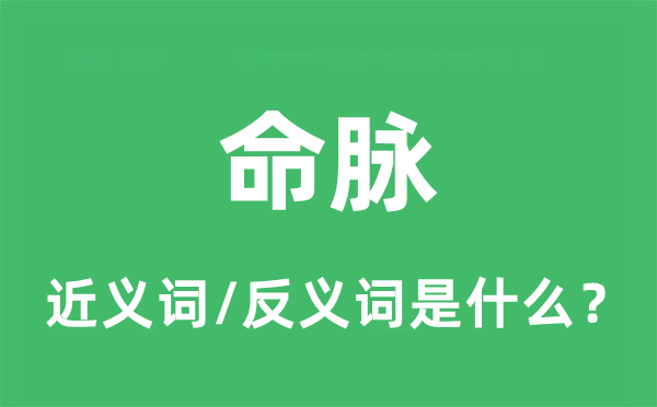命根子的近义词和反义词是甚么,命根子是甚么意义