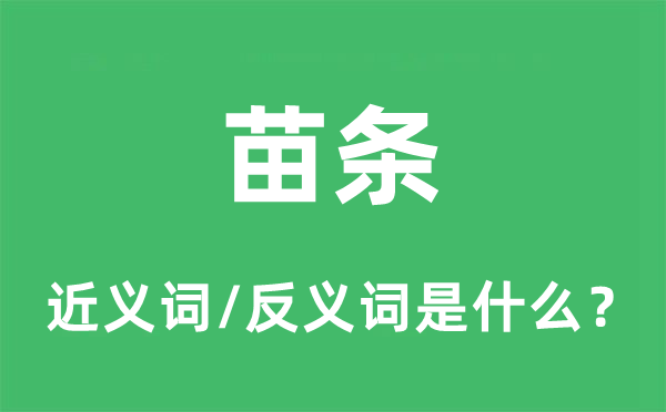 修长的近义词和反义词是甚么,修长是甚么意义