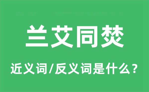 兰艾俱焚的近义词和反义词是甚么,兰艾俱焚是甚么意义