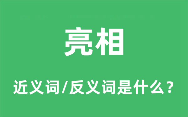 表态的近义词和反义词是甚么,表态是甚么意义