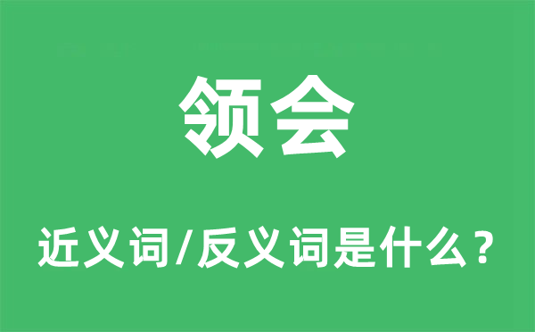 体味的近义词和反义词是甚么,体味是甚么意义