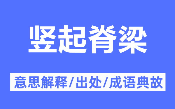 竖起脊梁的意义诠释,竖起脊梁的来由及针言典故