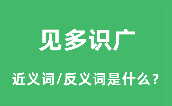 目光如豆的近义词和反义词是甚么,目光如豆是甚么意义