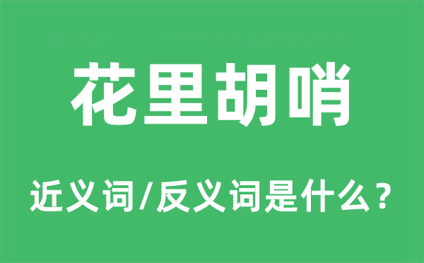 花狸狐哨的近义词和反义词是甚么,花狸狐哨是甚么意义