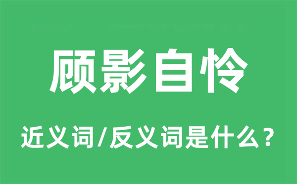 自命不凡的近义词和反义词是甚么,自命不凡是甚么意义