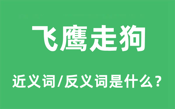 飞鹰喽啰的近义词和反义词是甚么,飞鹰喽啰是甚么意义