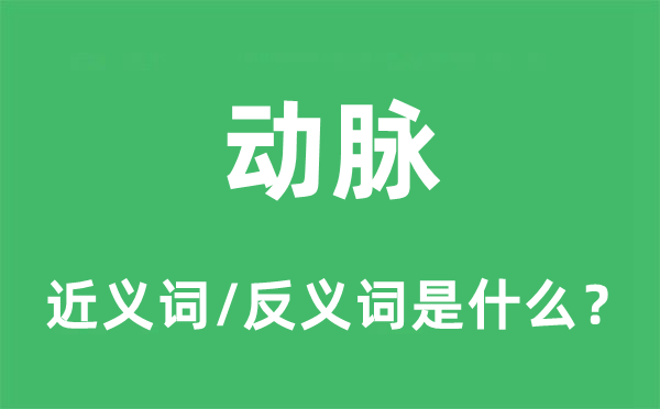 动脉的近义词和反义词是甚么,动脉是甚么意义
