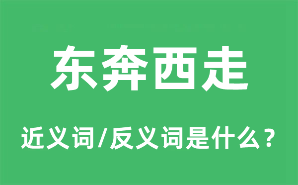 处处奔跑的近义词和反义词是甚么,处处奔跑是甚么意义