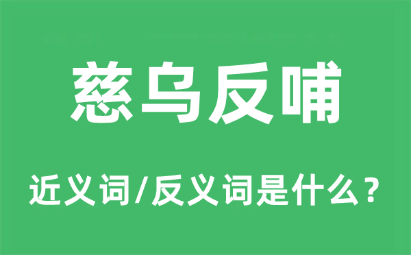 乌鸟私交的近义词和反义词是甚么,乌鸟私交是甚么意义