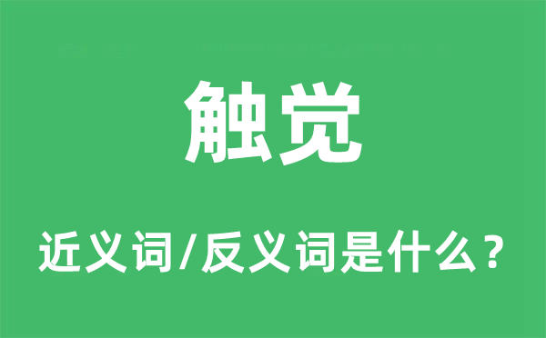 触觉的近义词和反义词是甚么,触觉是甚么意义
