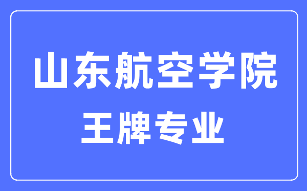 山东航空学院王牌专业是甚么,有哪些专业比拟好？