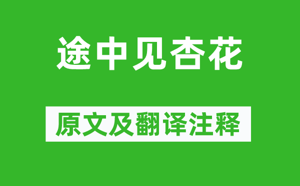吴融《途中见杏花》原文及翻译正文,诗意诠释