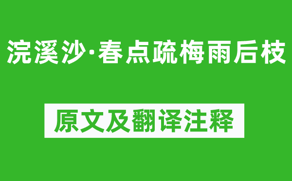姜夔《浣溪沙·春点疏梅雨后枝》原文及翻译正文,诗意诠释