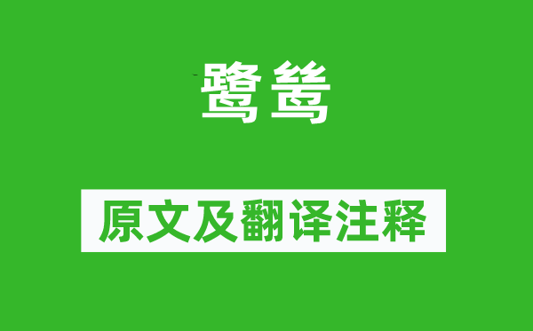 来鹄《鹭鸶》原文及翻译正文,诗意诠释