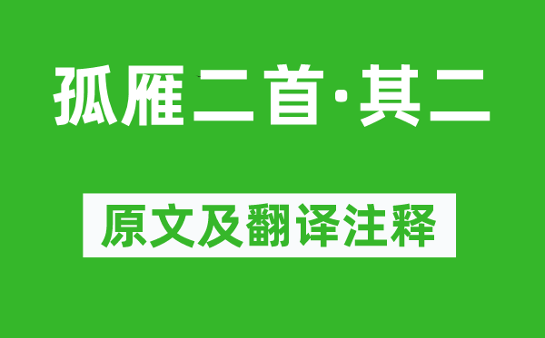 崔涂《孤雁二首·其二》原文及翻译正文,诗意诠释