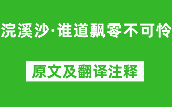纳兰性德《浣溪沙·谁道漂荡不不幸》原文及翻译正文,诗意诠释