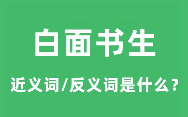 白面墨客的近义词和反义词是甚么,白面墨客是甚么意义