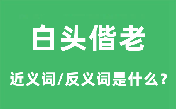 白头偕老的近义词和反义词是甚么,白头偕老是甚么意义