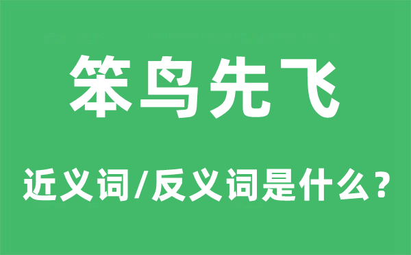 笨鸟先飞的近义词和反义词是甚么,笨鸟先飞是甚么意义