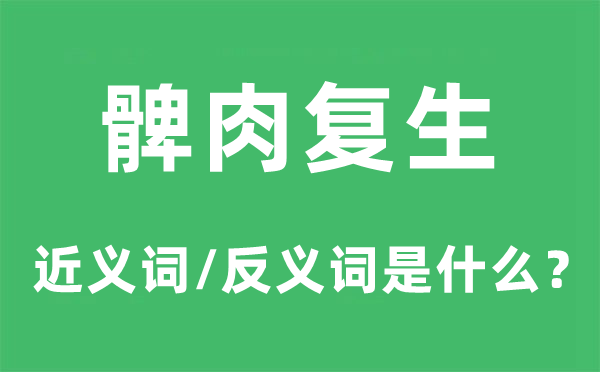 髀肉复活的近义词和反义词是甚么,髀肉复活是甚么意义