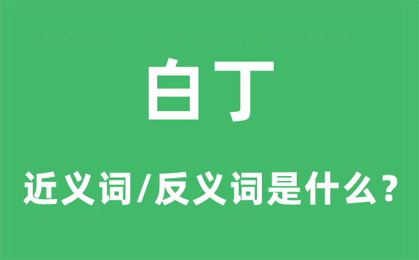 白丁的近义词和反义词是甚么,白丁是甚么意义