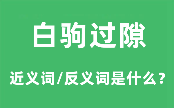 工夫似箭的近义词和反义词是甚么,工夫似箭是甚么意义