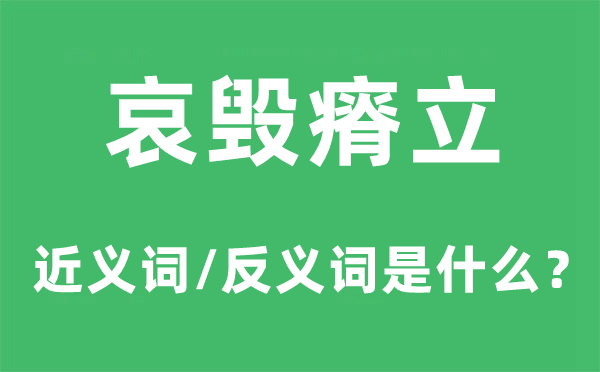 哀毁瘠立的近义词和反义词是甚么,哀毁瘠立是甚么意义