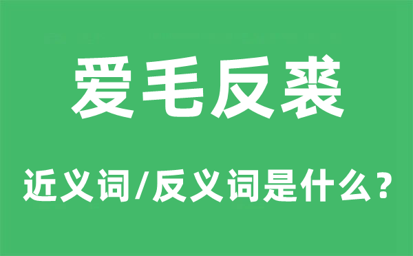 爱毛反裘的近义词和反义词是甚么,爱毛反裘是甚么意义
