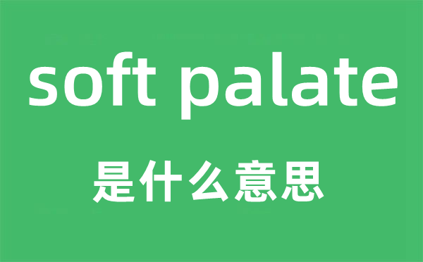 soft palate是甚么意义,中文翻译是甚么