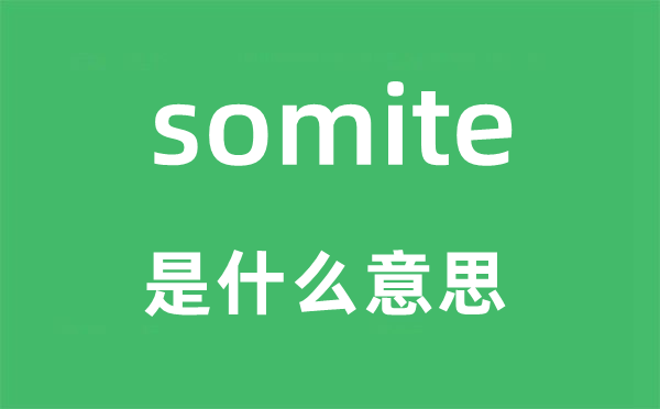 somite是甚么意义,somite怎样读,中文翻译是甚么