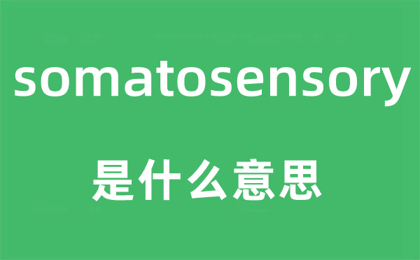 somatosensory是甚么意义,somatosensory怎样读,中文翻译是甚么