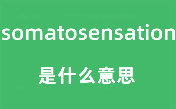 somatosensation是甚么意义,somatosensation怎样读,中文翻译是甚么