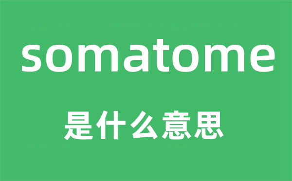 somatome是甚么意义,somatome怎样读,中文翻译是甚么