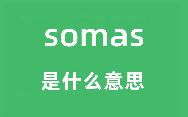 somas是甚么意义,somas怎样读,中文翻译是甚么