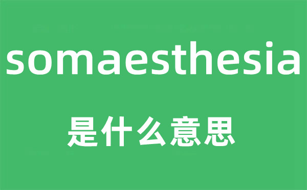 somaesthesia是甚么意义,somaesthesia怎样读,中文翻译是甚么