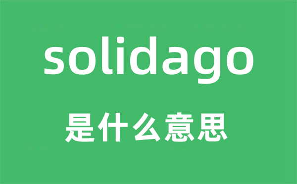 solidago是甚么意义,solidago怎样读,中文翻译是甚么