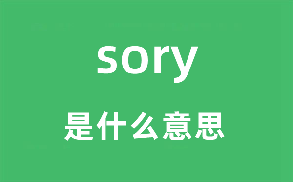 sory是甚么意义,sory怎样读,中文翻译是甚么
