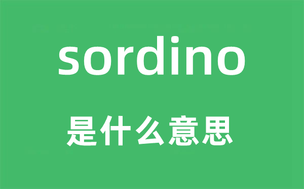 sordino是甚么意义,sordino怎样读,中文翻译是甚么