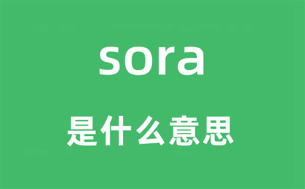 sora是甚么意义,sora怎样读,中文翻译是甚么