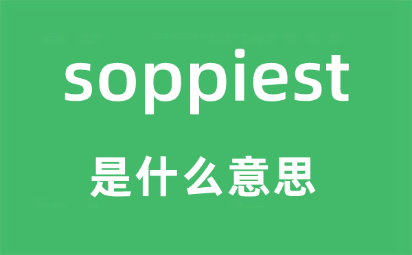 soppiest是甚么意义,soppiest怎样读,中文翻译是甚么
