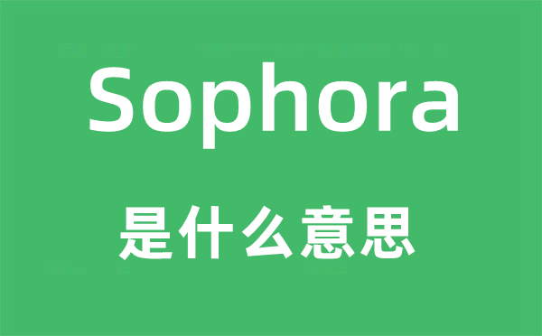 Sophora是甚么意义,Sophora怎样读,中文翻译是甚么