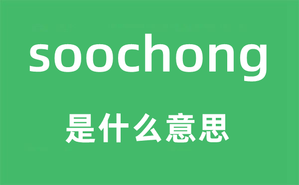 soochong是甚么意义,soochong怎样读,中文翻译是甚么