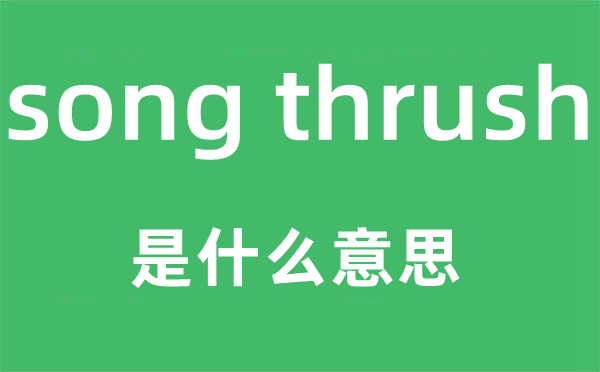 song thrush是甚么意义,中文翻译是甚么