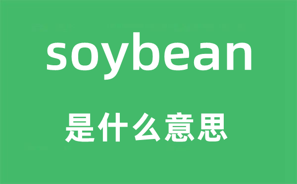 soybean是甚么意义,soybean怎样读,中文翻译是甚么