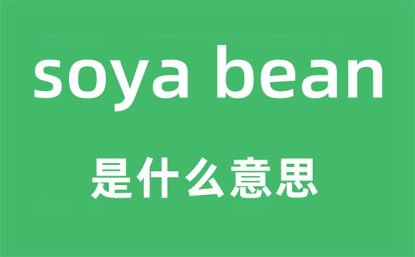 soya bean是甚么意义,中文翻译是甚么