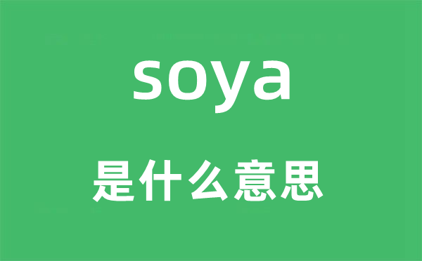 soya是甚么意义,soya怎样读,中文翻译是甚么