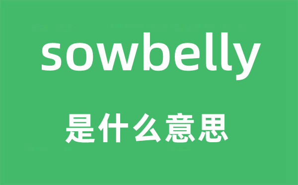 sowbelly是甚么意义,sowbelly怎样读,中文翻译是甚么