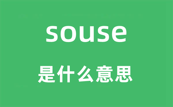 souse是甚么意义,souse怎样读,中文翻译是甚么